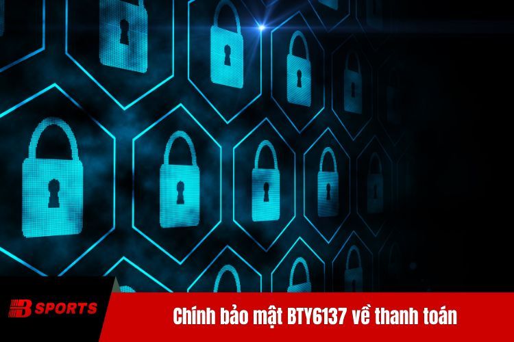 Chính sách bảo mật BTY6137 về thanh toán
