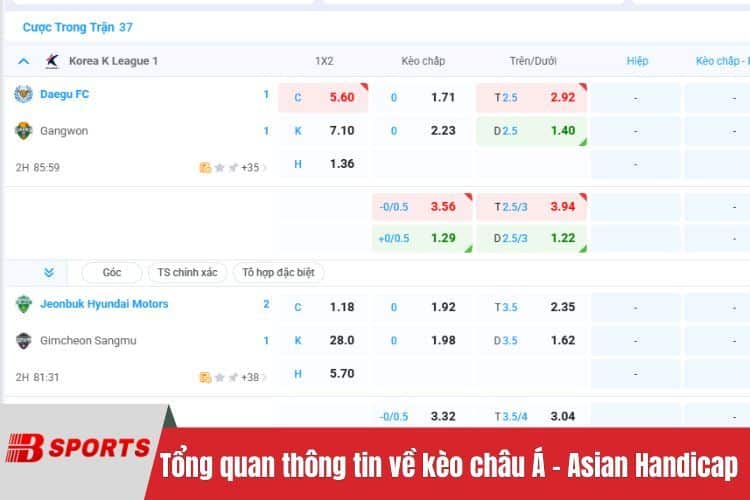 Tổng quan thông tin về kèo châu Á - Asian Handicap