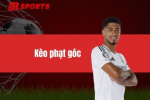 Kèo phạt góc - Cách cược và kinh nghiệm soi kèo từ cao thủ