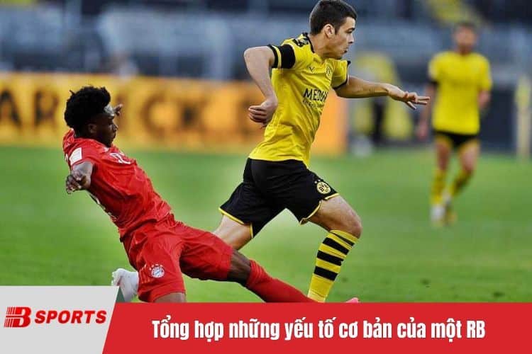 Tổng hợp những yếu tố cơ bản của một RB